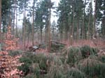sturm2013_30