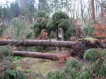 sturm2013_31