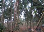 sturm2013_33