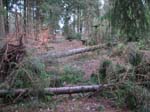 sturm2013_36