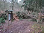 sturm2013_37
