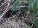 sturm2013_39
