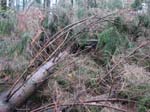 sturm2013_40