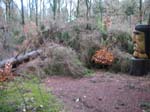 sturm2013_41