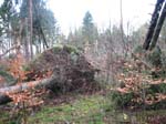 sturm2013_43