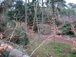 sturm2013_44