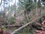 sturm2013_55