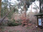 sturm2013_58