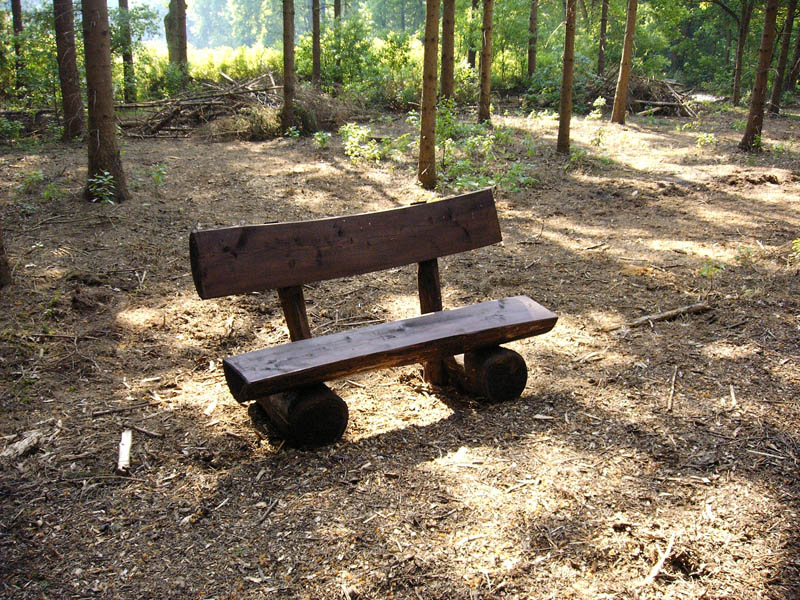 Schulwald Mai 2005 11