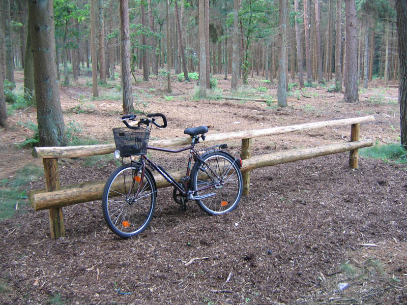 schulwald 05  09