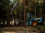 Bild0982