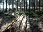 Bild0985