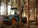 Bild0991