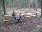 schulwald 05  09