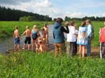 IMG_1184