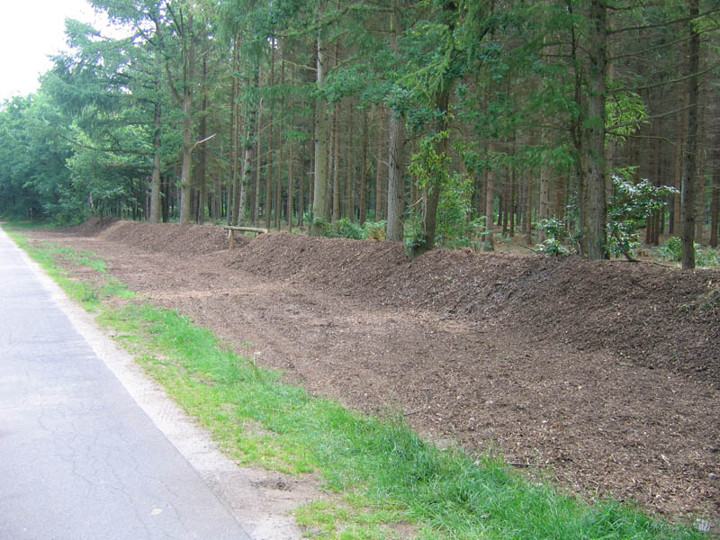 schulwald 05  01