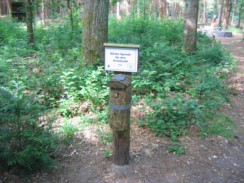 schulwald 05  24