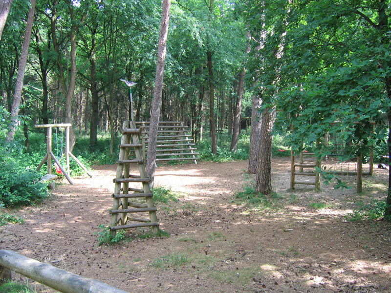 schulwald 05  32