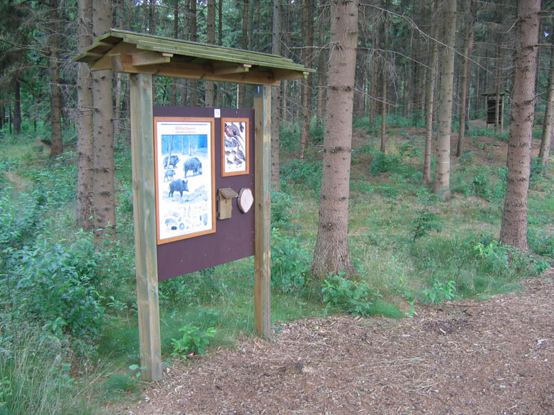 schulwald 05  41
