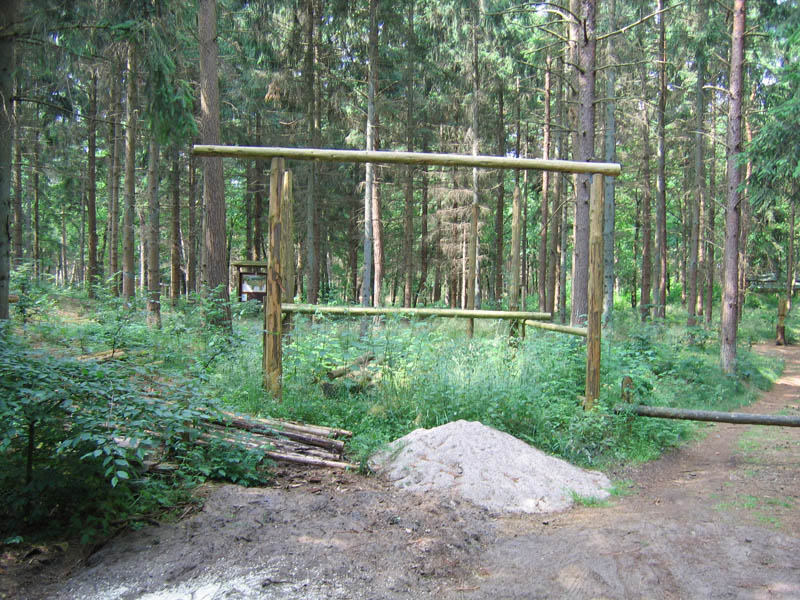 schulwald 05  46