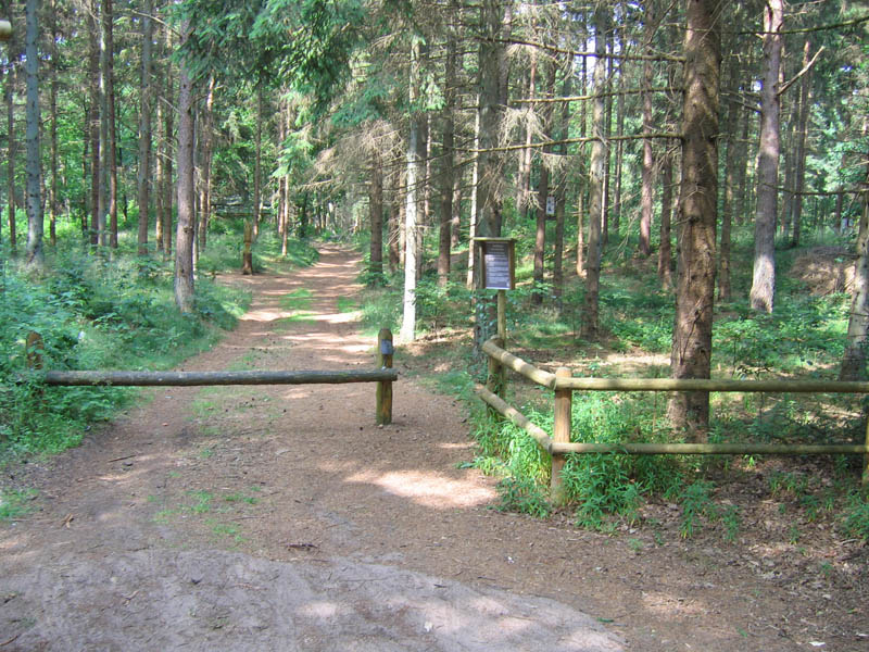 schulwald 05  47