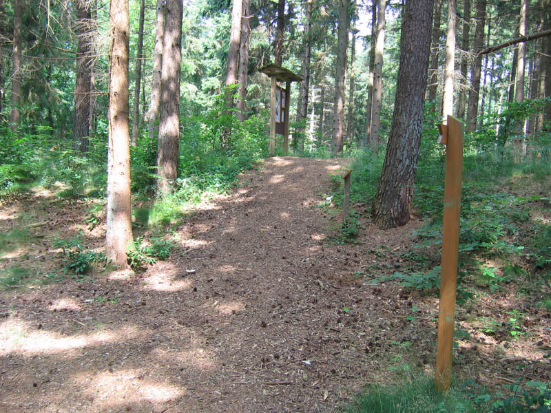 schulwald 05  48