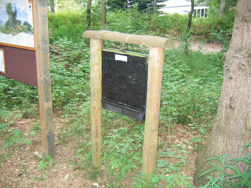 schulwald 05  57