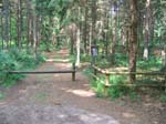 schulwald 05  47