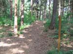 schulwald 05  48