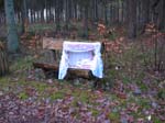 Märchenwald 2008 (3)