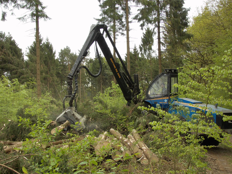 Holzernte Mai 2014 05