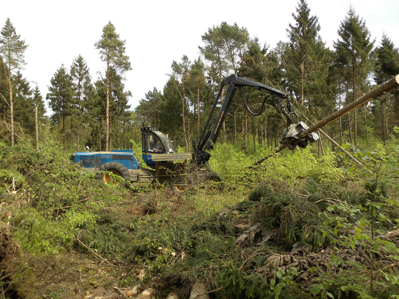 Holzernte Mai 2014 09