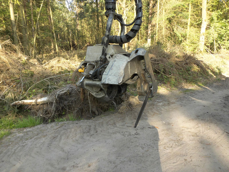 Holzernte Mai 2014 17