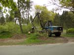 Holzernte Mai 2014 02