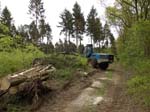 Holzernte Mai 2014 04