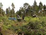 Holzernte Mai 2014 09