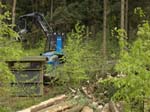 Holzernte Mai 2014 13