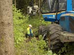 Holzernte Mai 2014 14