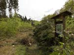 Holzernte Mai 2014 15