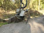 Holzernte Mai 2014 17