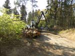 Holzernte Mai 2014 18