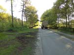 Holzernte Mai 2014 27