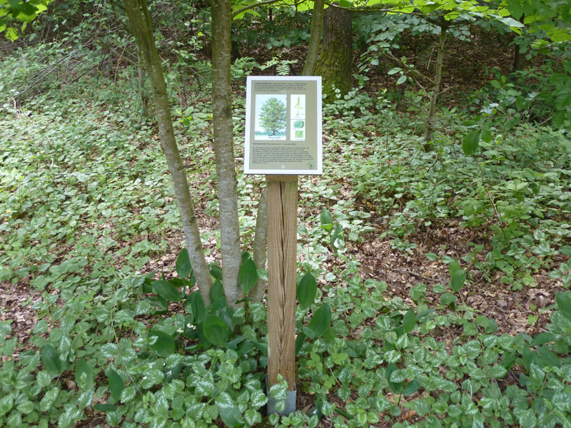 P1070512