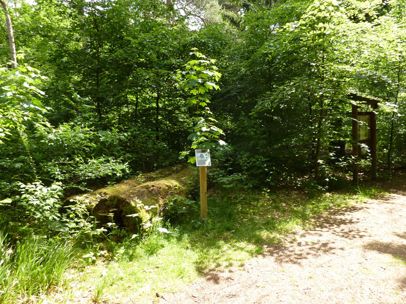 P1070532