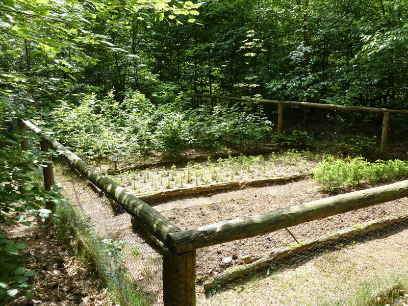 P1070566