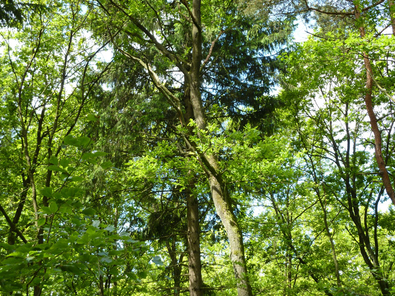 P1070567
