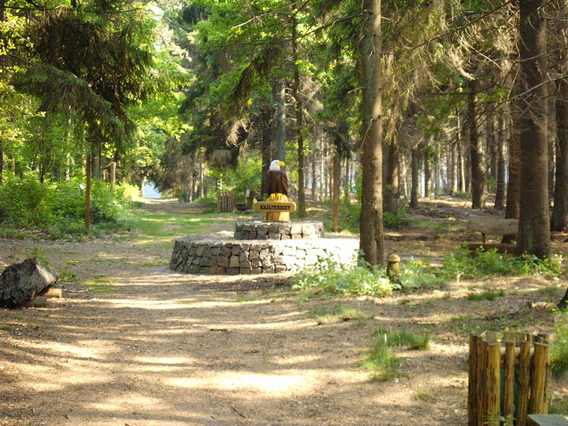 schulwald 2005_27