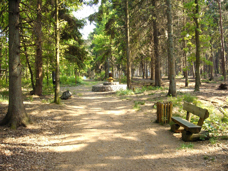 schulwald 2005_28
